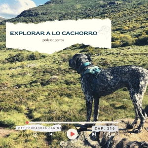 EXPLORAR A LO CACHORRO- CAPÍTULO 216