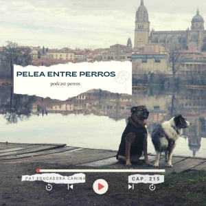 Pelea entre perros- capítulo 215
