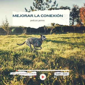 Mejorar conexión con tu perro- capítulo 222