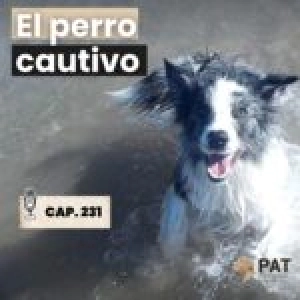 El perro cautivo- Capítulo 231
