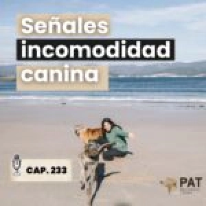 Señales de incomodidad en perros- capítulo 233