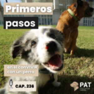 ¿Por dónde empezar?