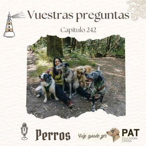 Vuestras preguntas sobre felicidad, ladrar y querer.