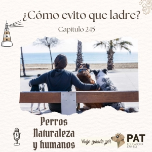 ¿Cómo Evito que Mi Perro Ladre a Otros Perros?
