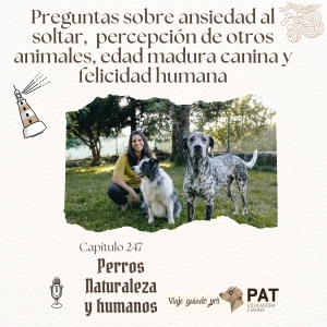 Preguntas sobre ansiedad al soltar,  percepción de otros animales, edad madura canina y felicidad humana