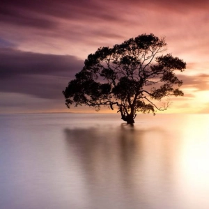 La última acción de hollywood, películas de horror y comedia en cinecalidad