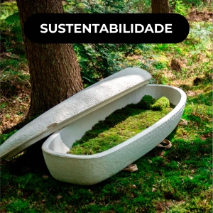 🍄‍🟫 Loop Living Cocoon, um caixão ecológico