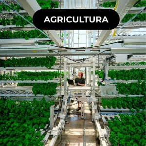 🌾 Canopii: Estufas robóticas para alimentos mais sustentáveis