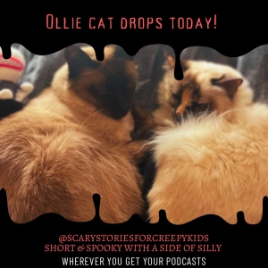Ollie Cat