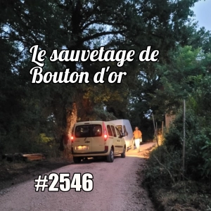 Le sauvetage de Bouton d’or - French Car Vocabulary