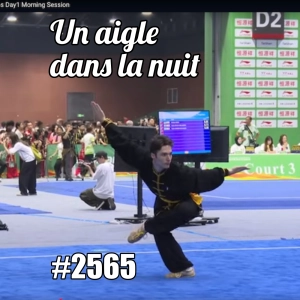 Un aigle dans la nuit - Kung Fu World Championships (French Sports)
