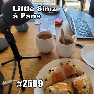 Si Little Simz vient à Paris (Parisian Day Trip)