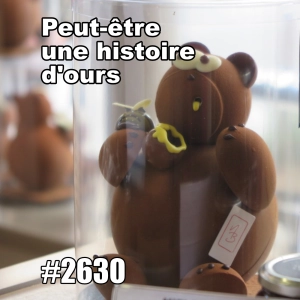 Peut-être une histoire d'ours (Maybe A Bear Story)