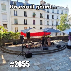 Un concert, un corail géant et de l’eau : faire durer l’été (A Concert, a Coral, and a Pool)