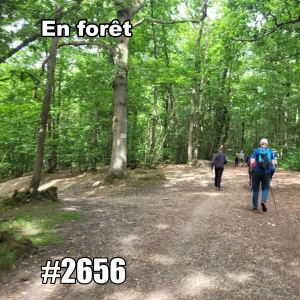 En forêt avec le groupe de marche nordique  (An Antidote to City Life?)