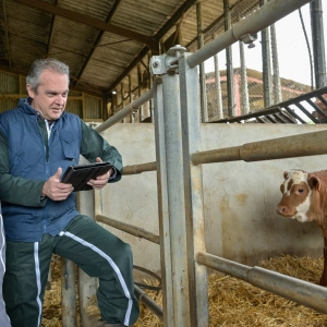 For the Record - Official Veterinarians and the impact of Brexit