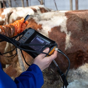 Audio Summary: A comparison of gonadotropin-releasing hormone and human chorionic gonadotropin in dairy cows with ovarian follicular cysts