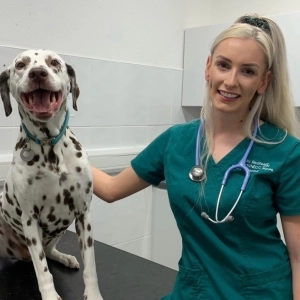 Knowledge Natter: In conversation with Abi Redfearn from Rosemullion Veterinary Practice about their award-winning audit.