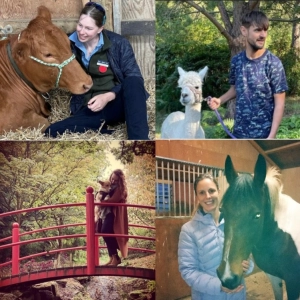For the Record podcast: Neurodiversity in the veterinary professions