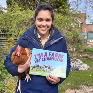 VetTeamAMR: Responsible antimicrobial use in backyard poultry