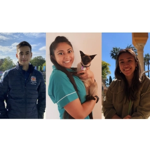 Interview with the winners of the Veterinary Evidence Student Awards 2022