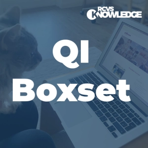 QI Boxset: How clinical governance and QI fit into the RCVS PSS. Anne Lawson & Pam Mosedale