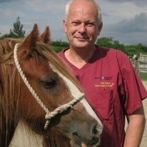 VetTeamAMR for equine vets
