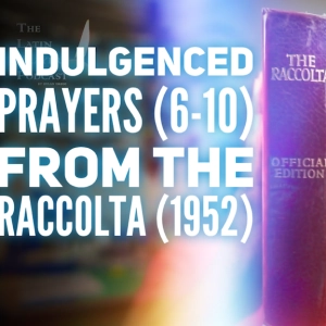 Indulgences of The Raccolta (1952) | Prayers 6-10