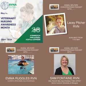 Sneak Preview - Vet Nursing Awareness Month