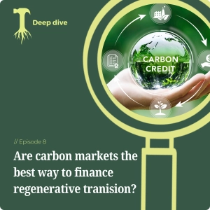 Are carbon markets the best way to finance regenerative transition?