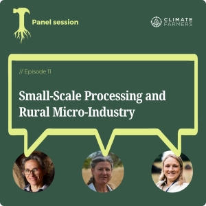 Small-Scale Processing and Rural Micro-Industry panel