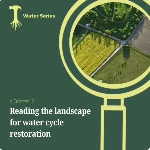 Reading the landscape for water cycle restoration