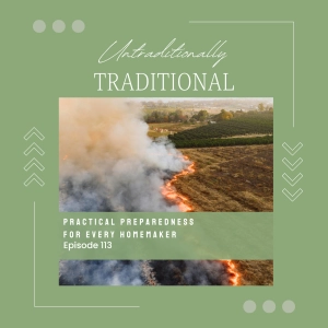 Practical Preparedness for Every Homemaker