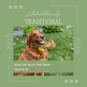 Dealing with Dog Hair