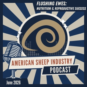 ASI Research Update: Flushing Ewes: Nutrition and Reproductive Success with Dr. Richard Ehrhardt