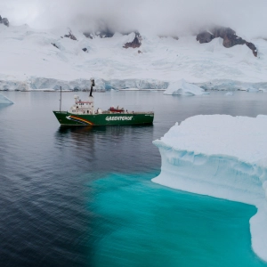Greenpeace, CCAMLR and MPAs: An NGO Perspective on Protecting Antarctica