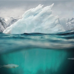 Deep dive into Ocean and Cryosphere IPCC Report with coordinating lead author Martin Sommerkorn