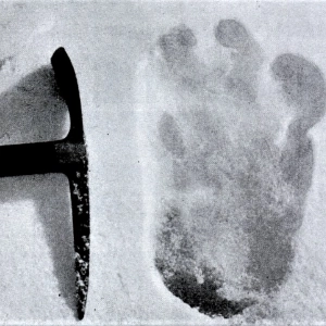 Himalayan Buddhism and the Last Yeti on Earth