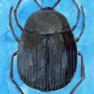 (We) Sentient Beings Are Everywhere . . .