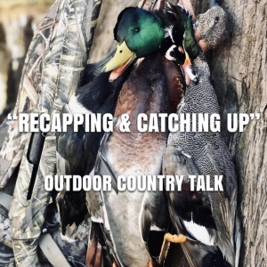 “Recapping & Catching Up”