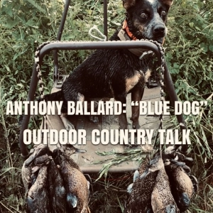 Anthony Ballard: “Blue Dog”
