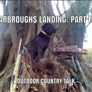"Sharbroughs Landing: Part Five"