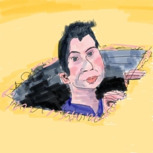 Druet v Cattelan legal saga