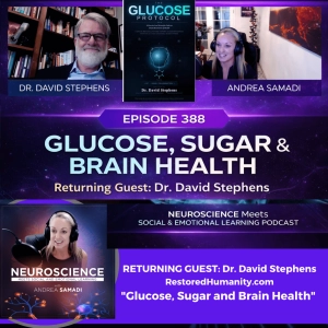 The Glucose Protocol: How Fueling Your Brain Restores Clarity with Dr. David Stephens