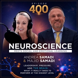 Episode 400: Sales Leadership Under Pressure with Majid Samadi: 7 Lessons Learned from 7 Years of Neuroscience