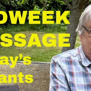 Ray's Rants Podcast -  Midweek Message 270. In the shade in the garden! Growing Watercress.