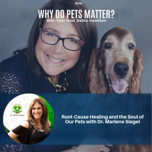 Root-Cause Healing and the Soul of Our Pets with Dr. Marlene Siegel