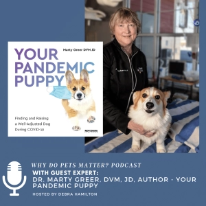 Dr. Marty Greer, DVM, JD - Your Pandemic Puppy on "Why Do Pets Matter?" hosted by Debra Hamilton #182