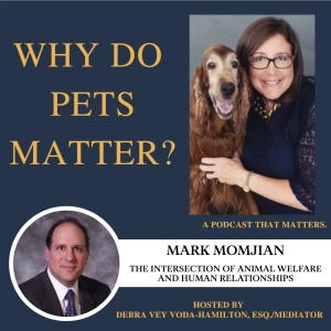 The intersection of animal welfare and human relationships