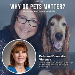 Elizabeth Cronin - Pets and Domestic Violence on ”why Do Pets Matter?” hosted by Debra Hamilton EP 207